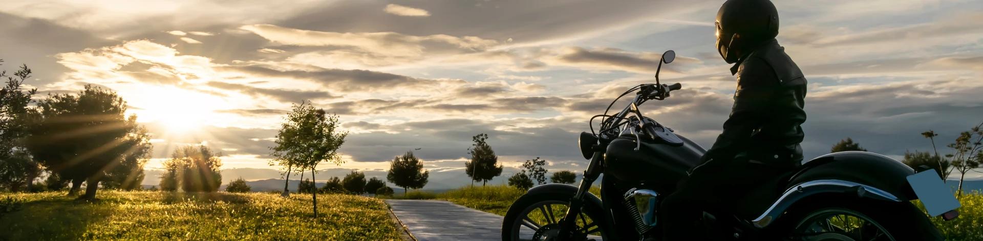 A rider watching the sunset over a green field